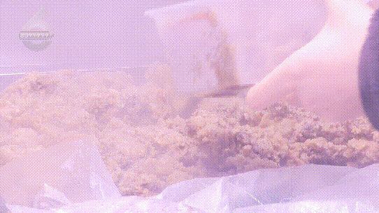 融融！这些御寒姿势总有一款适合你PG麻将胡了免费模拟器热腾腾、暖(图13)