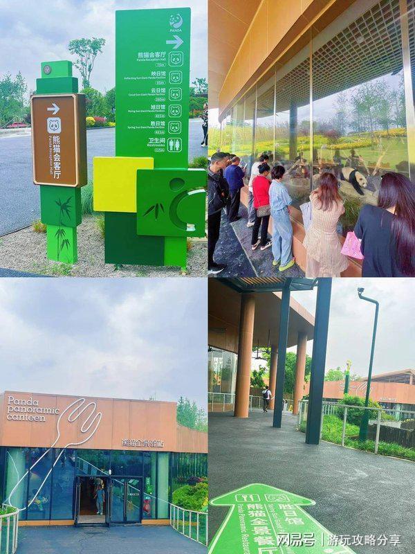 要多少钱 成都四日游【必读旅游指南】麻将胡了2试玩网站两个人去成都玩三天(图5)