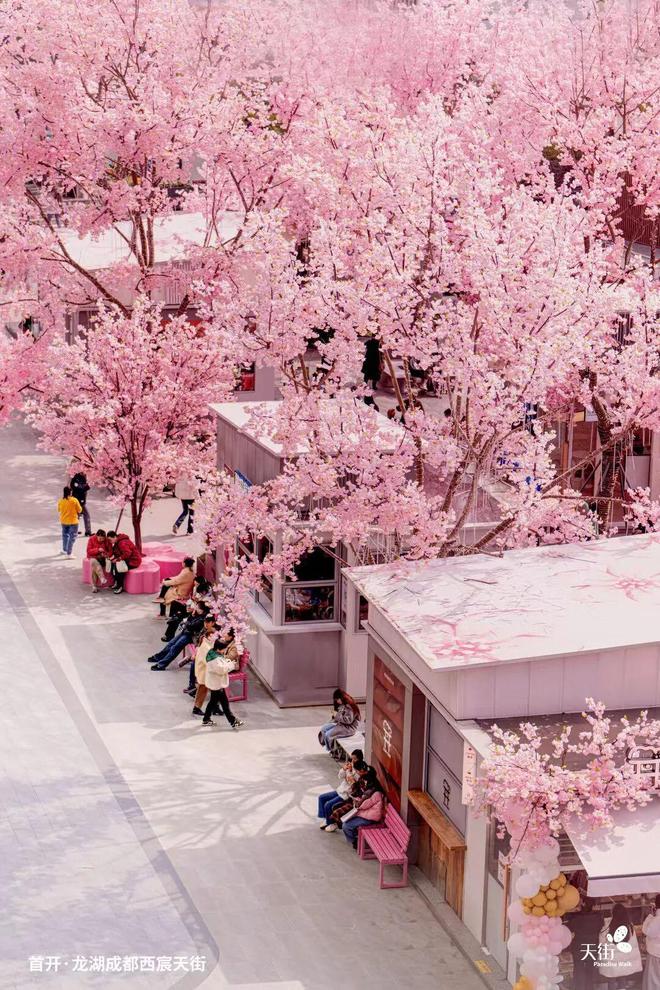 出梗龙湖如何玩转情绪经济?麻将胡了2“川超”刷屏天街(图1) 出梗龙湖如何玩转情绪经济?麻将胡了2“川超”刷屏天街(图1)