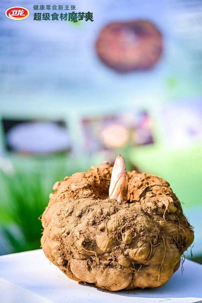 芋爽如何从千年“土疙瘩”变身国民零食?麻将胡了2试玩模拟器超级食材的逆袭:魔(图8) 芋爽如何从千年“土疙瘩”变身国民零食?麻将胡了2试玩模拟器超级食材的逆袭:魔(图8)