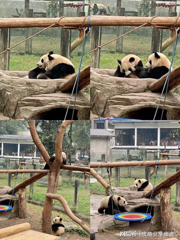 重庆六日游路线推荐这篇攻略告诉你PG麻将胡了什么时候重庆旅游比较好(图5) 重庆六日游路线推荐这篇攻略告诉你PG麻将胡了什么时候重庆旅游比较好(图5)